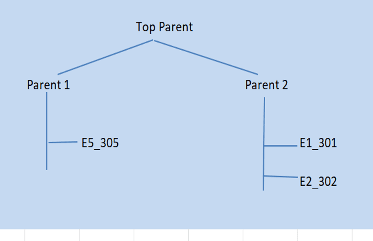Entity hierarchy diagram showing Top Parent, Parent 1, Parent 2, E5_305, E1_301 and E2_302