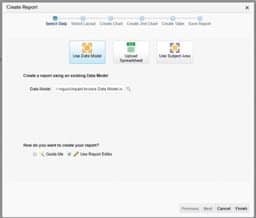Report Editor Interface