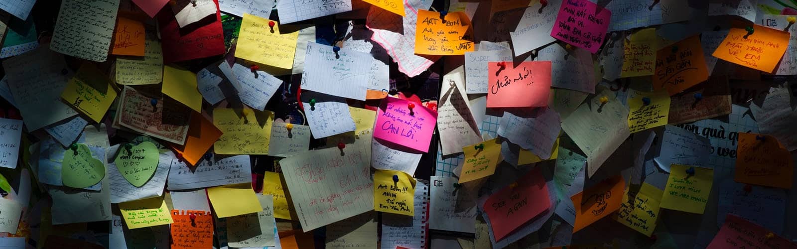 The Combined Power of Twitter and Python